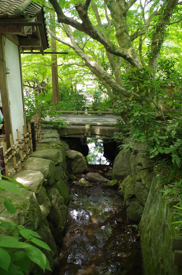 e0161692_1034132.jpg