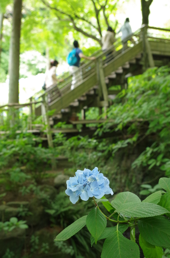 e0161692_10343739.jpg
