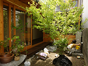 a0118993_1113690.jpg