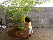a0118993_1182923.jpg