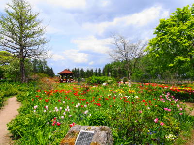北海道ガーデン街道を巡る旅7 紫竹ガーデン ゆるゆると 北海道ガーデン街道を巡る旅7 紫竹ガーデン ゆるゆると
