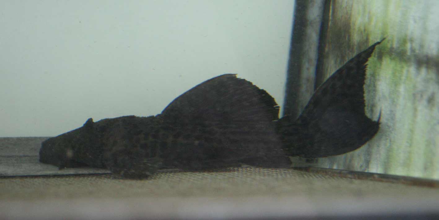 c0165800_2230169.jpg