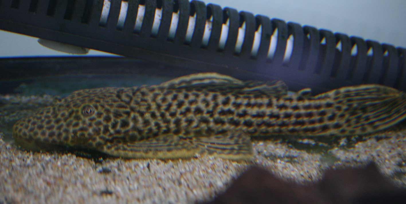 c0165800_22304250.jpg