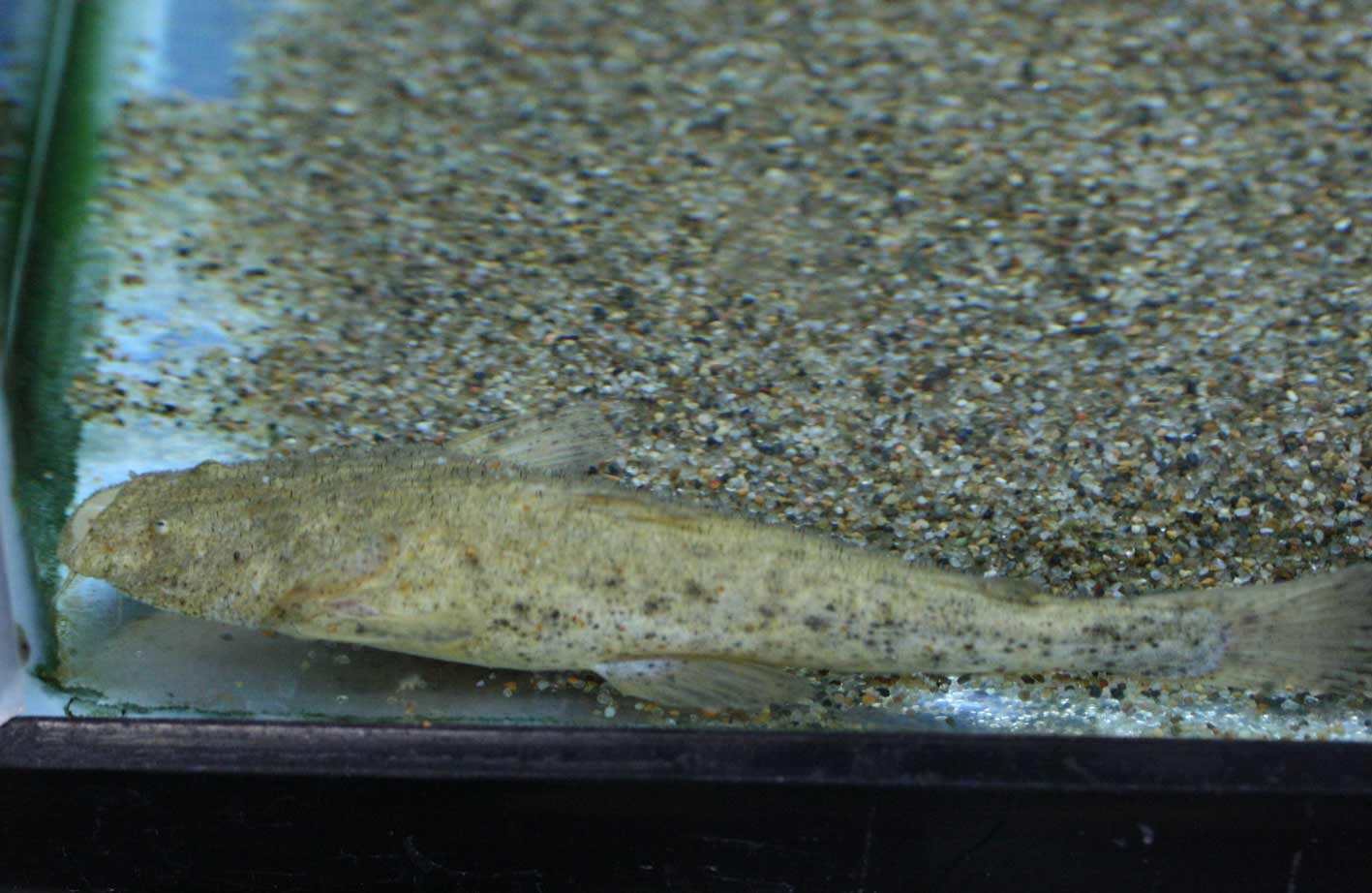 c0165800_2232819.jpg