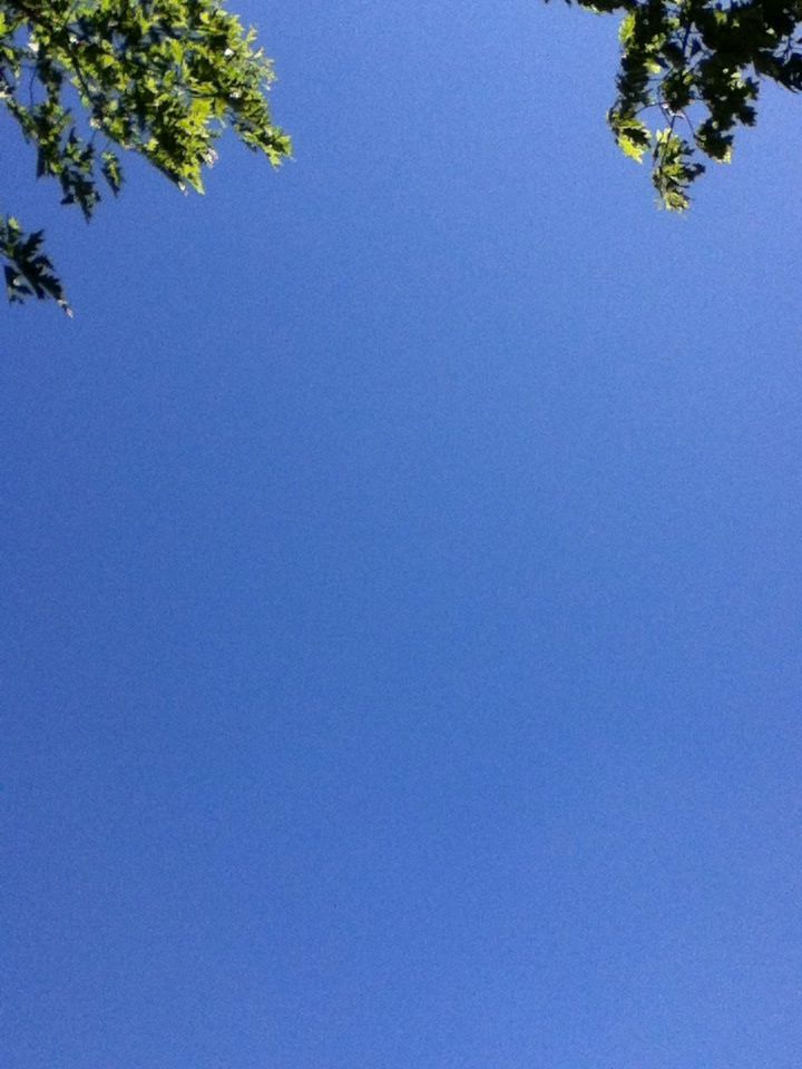 e0322201_9214884.jpg