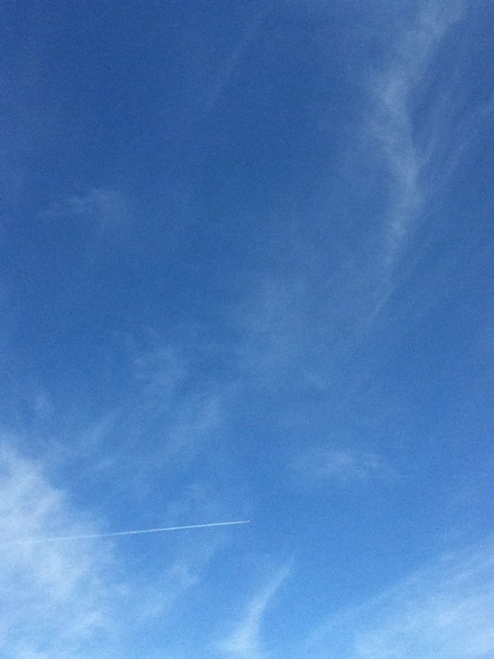 e0322201_9215259.jpg