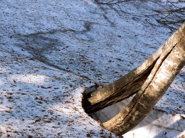 c0008502_8464321.jpg