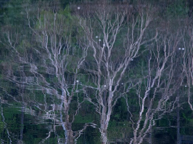 c0008502_924578.jpg