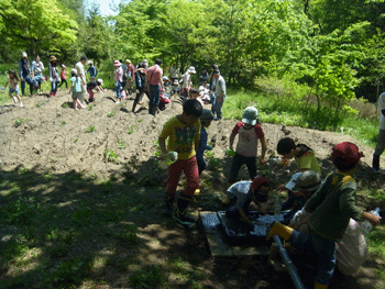 b0126307_10171592.gif