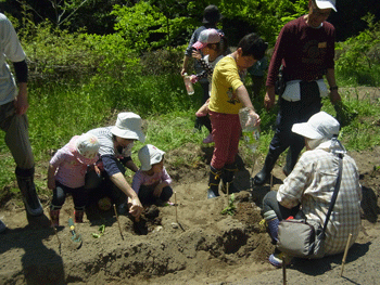 さっさと　さつまいも植え_b0126307_10175657.gif