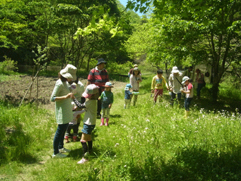 b0126307_10201111.gif