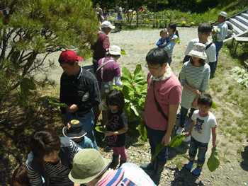b0126307_10213836.gif