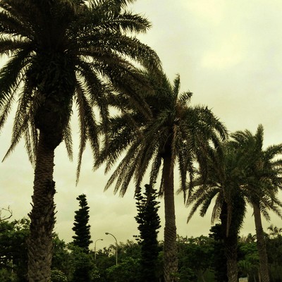 f0264907_13123159.jpg
