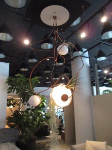 空間にスパイス?!本日は・・・。_d0091909_11353746.jpg