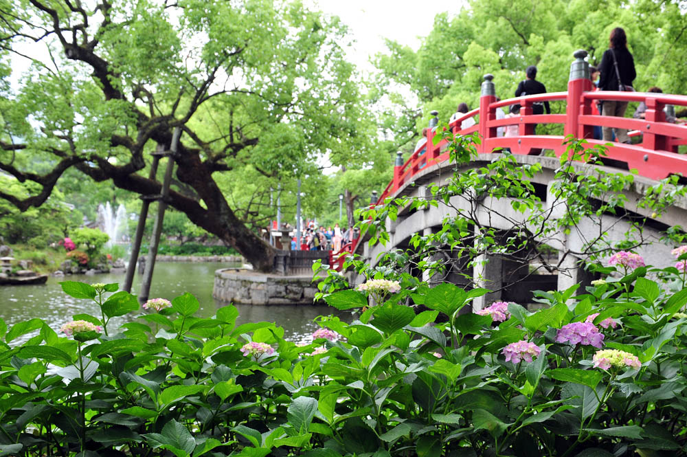 a0042310_1543818.jpg