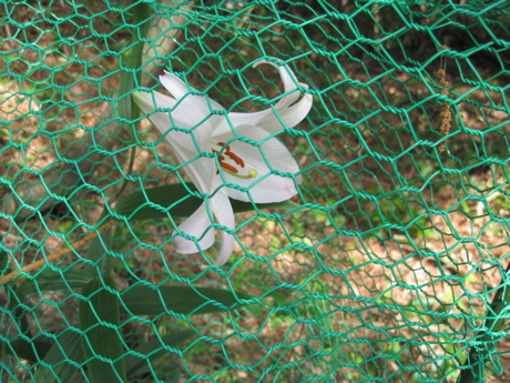 a0164011_23384618.jpg
