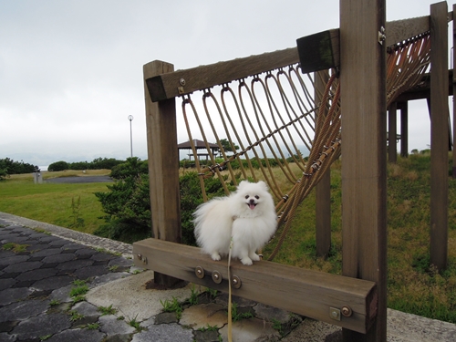 温泉旅行♪　その2_b0318311_454421.jpg