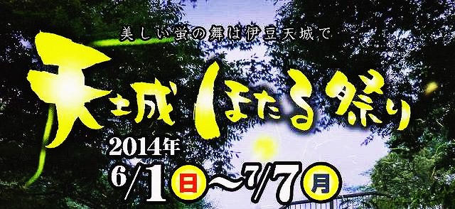 天城ほたる祭り　提灯をともして会場へどうぞ。_f0182513_2323378.jpg