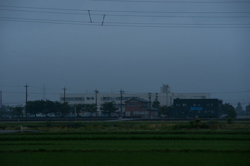 a0278914_537441.jpg