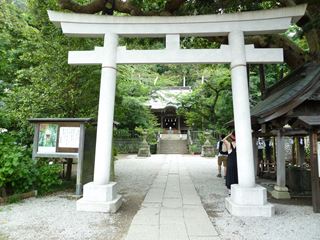 鎌倉あじさい散策＠御霊神社_e0205917_5411168.jpg