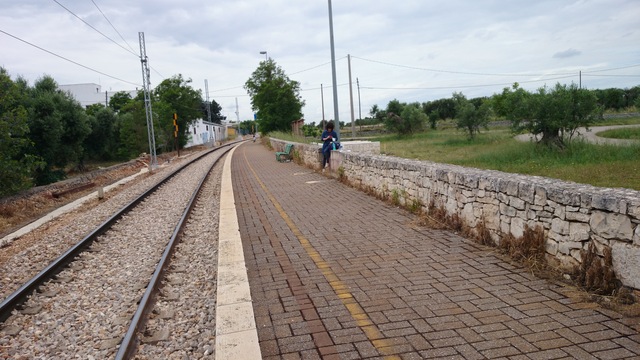 f0163920_1123721.jpg