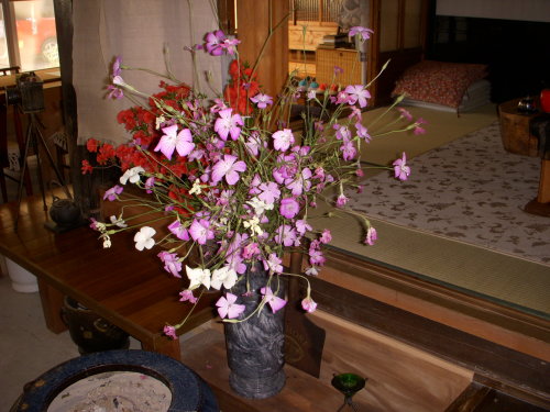 f0260120_21502208.jpg