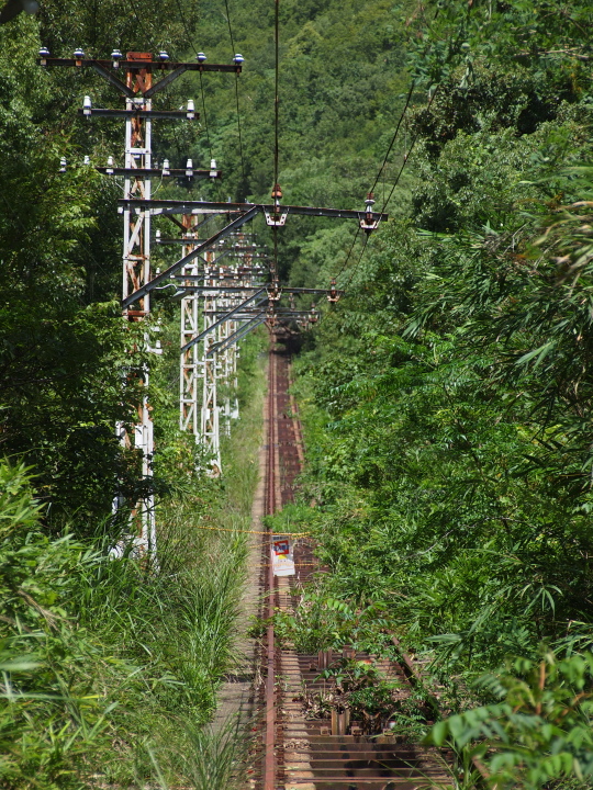 b0244424_2394991.jpg