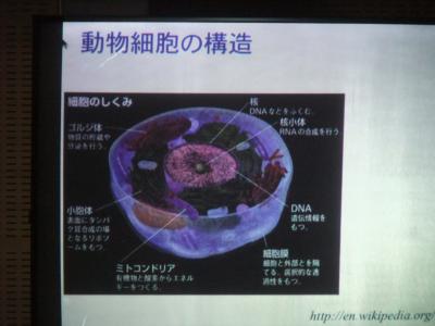 b0144125_23284529.jpg