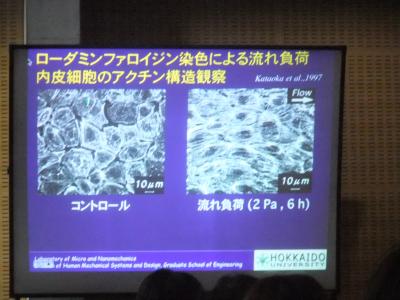 b0144125_23292219.jpg