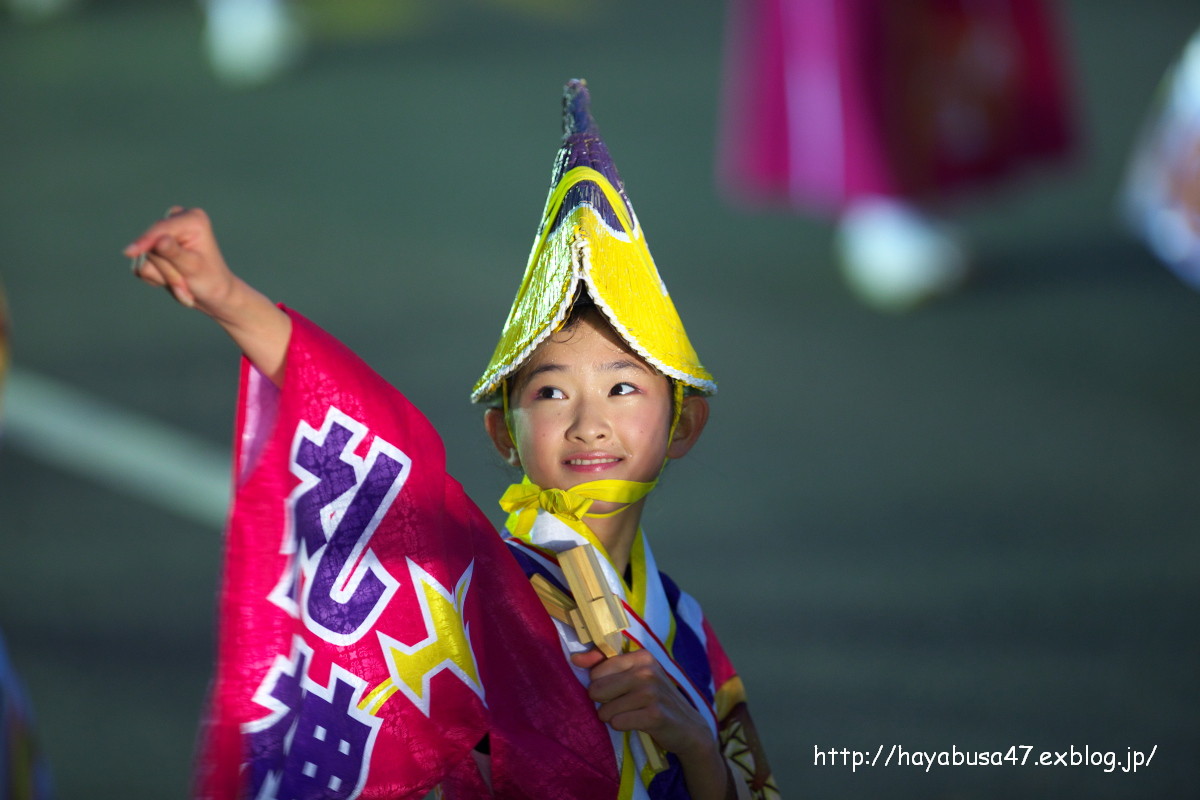 2013　高知よさこい祭り全国大会より_a0095531_2029207.jpg