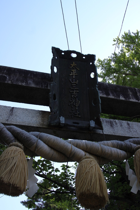 d0018237_1418658.jpg