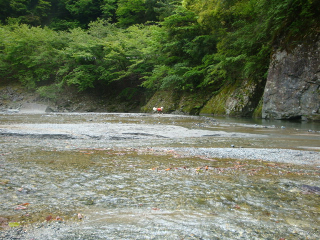 e0158841_8484183.jpg