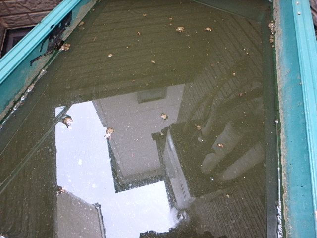 f0334143_93914.jpg