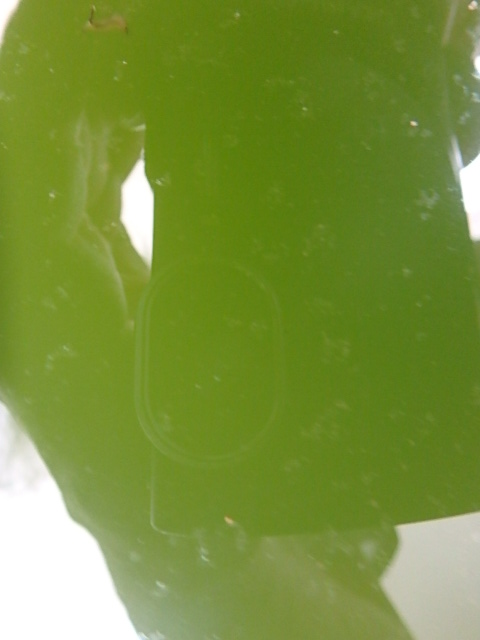 f0334143_9412946.jpg