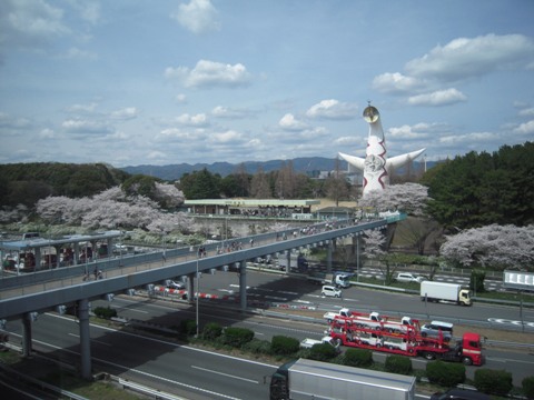 太陽の塔と桜と（吹田市）_d0049152_936930.jpg