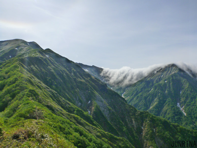 d0110562_12172361.jpg