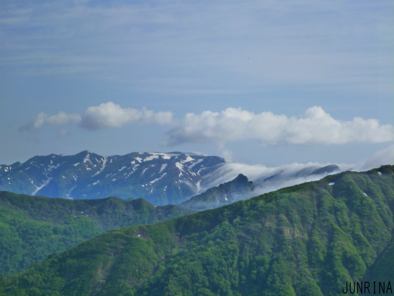 d0110562_12172578.jpg