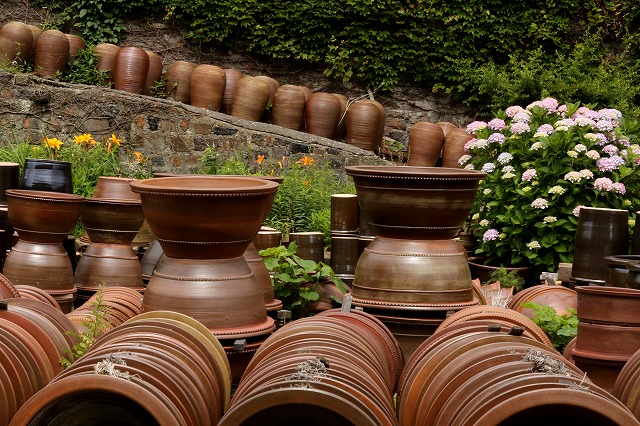 阿波大谷焼き　壺 大谷焼とスイレン : 阿波の国から・・・