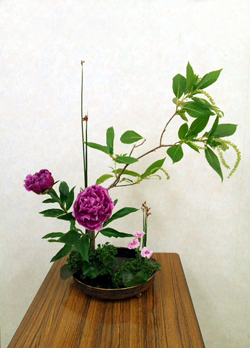自然花の講習会_f0185066_005484.jpg
