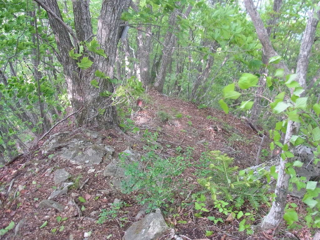 2014/05/22　天神山　尾崎山　文台山　矢花山　終編_d0233770_04543.jpg