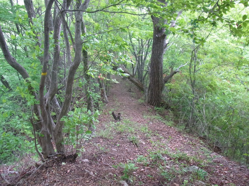 2014/05/22　天神山　尾崎山　文台山　矢花山　終編_d0233770_06330.jpg