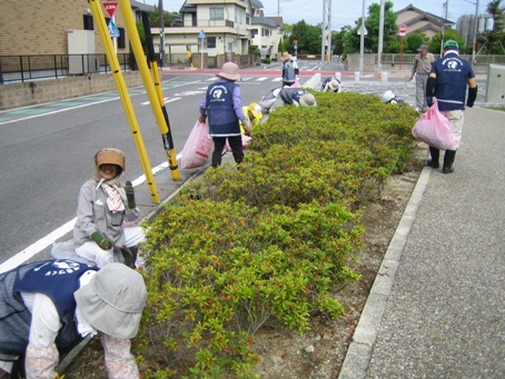 井畑花の道サークル・・・・今日の作業_b0105374_21255430.jpg