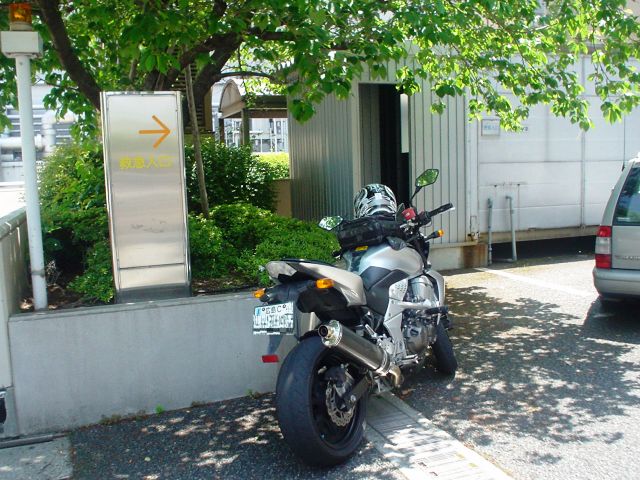 d0155582_22513585.jpg