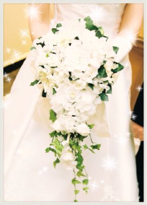 結婚をつかさどる女神☆_a0300389_1073624.jpg