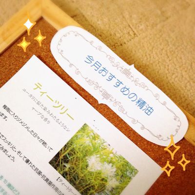 今月おすすめ精油_d0261589_136552.jpg