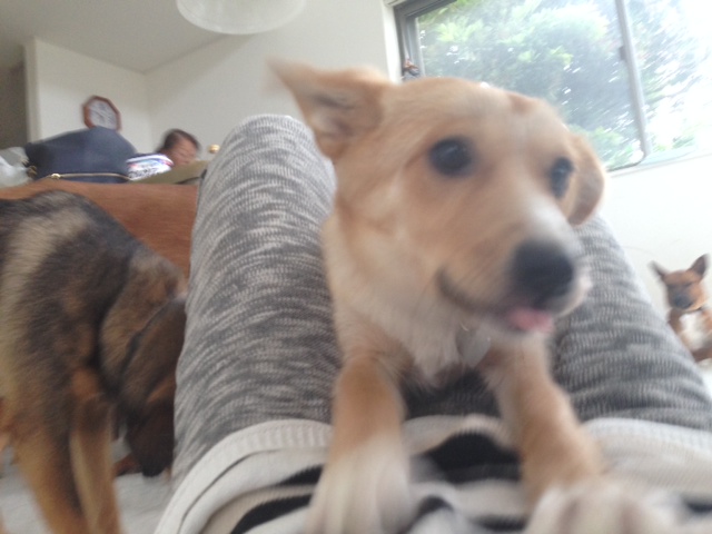 d0027698_15084124.jpeg