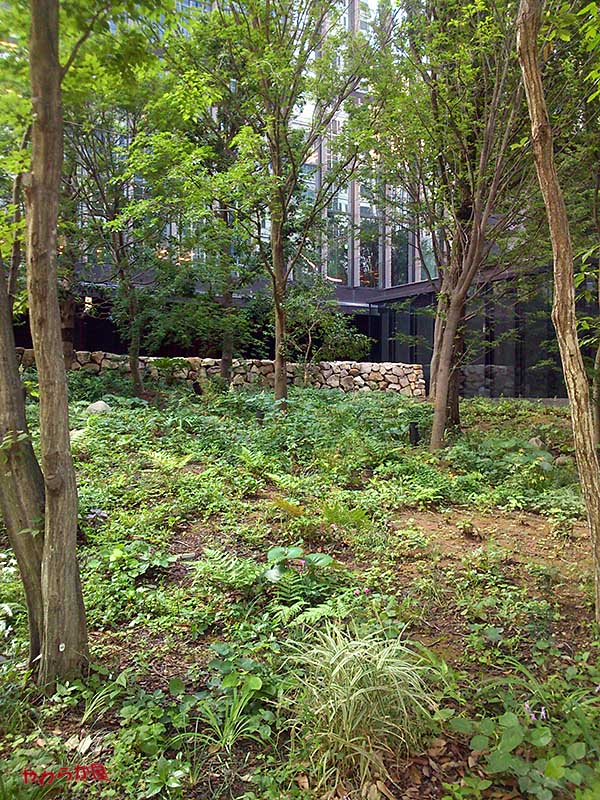 b0134907_10305860.jpg