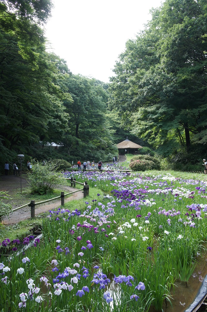 b0112909_20315210.jpg