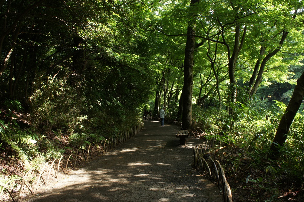 b0112909_20561140.jpg