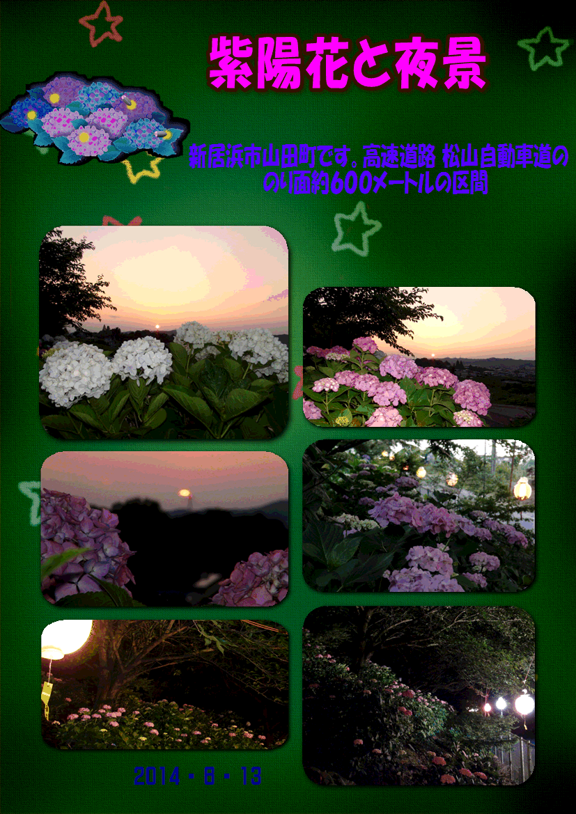 新居浜市山田紫陽花ロードと夜の景観 14 6 13 徳ちゃん便り